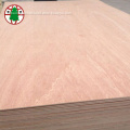/msite/products/detail/productid/55087384/id/542710.html